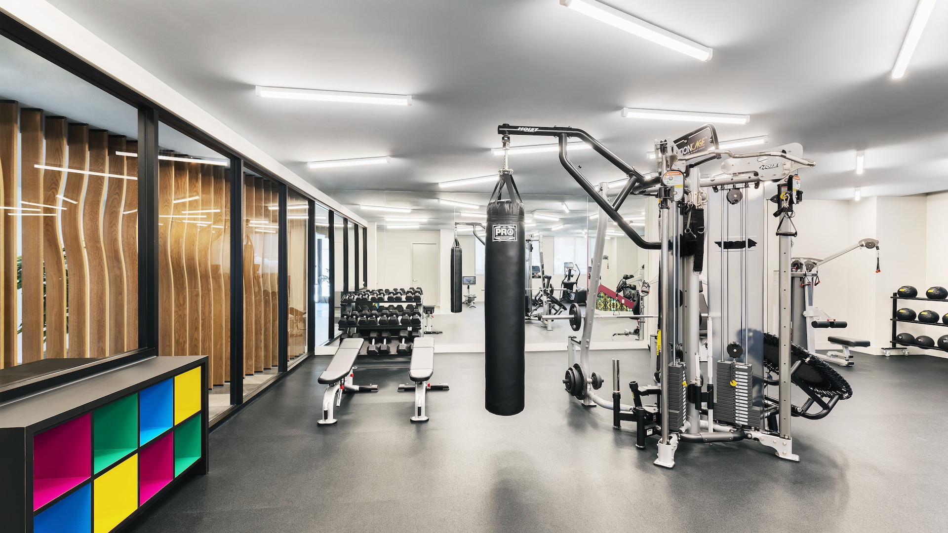 Full suite performance fitness center