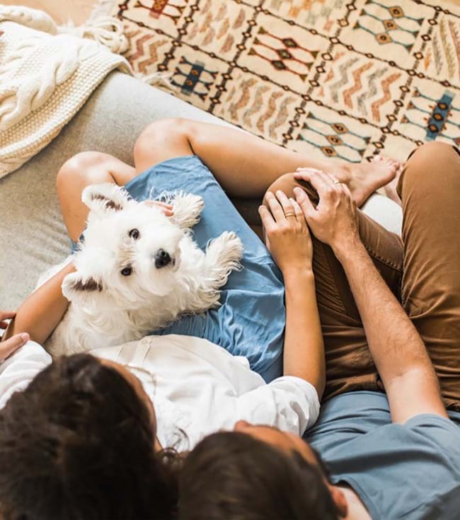 Couple holding their pet dog