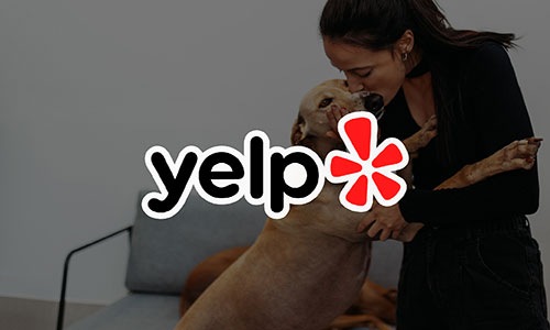 yelp reviews